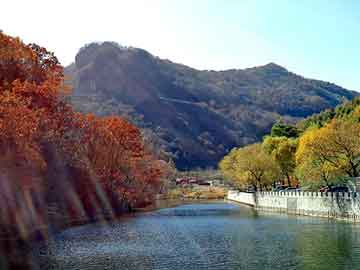 新澳门最精准免费大全，大鹏背景